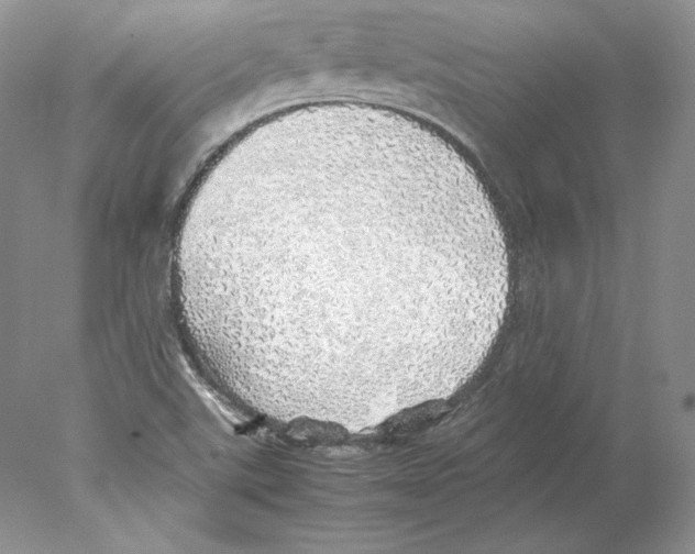 X0000077991507200611251358