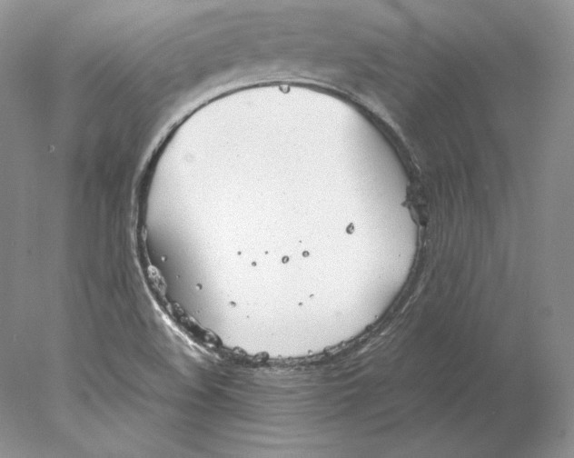 X0000077991508200611251358