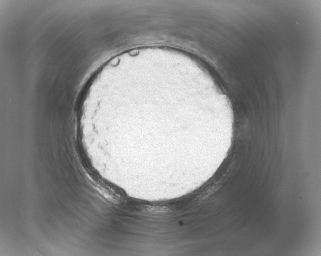 X0000077991509200611251358