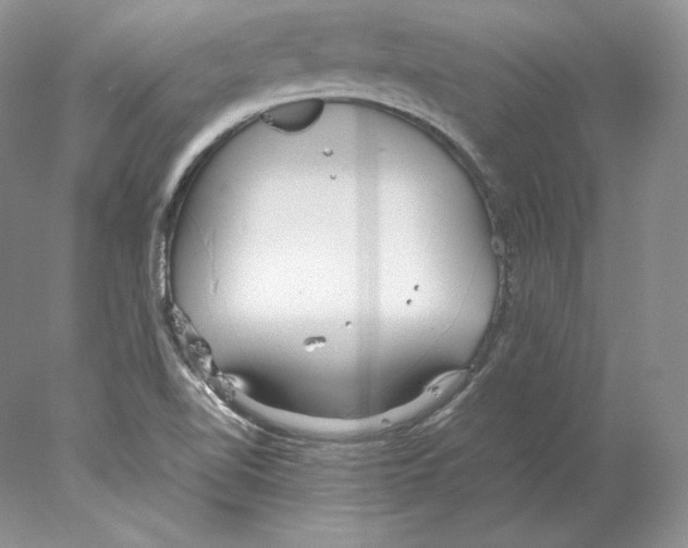 X0000077991510200611251358