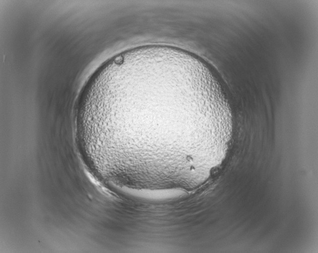 X0000077991511200611251358