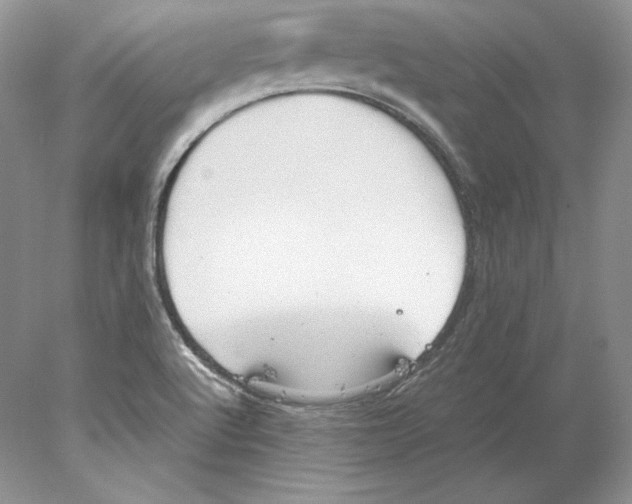 X0000077991512200611251358