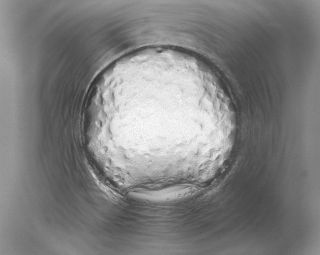 X0000077991513200611251358