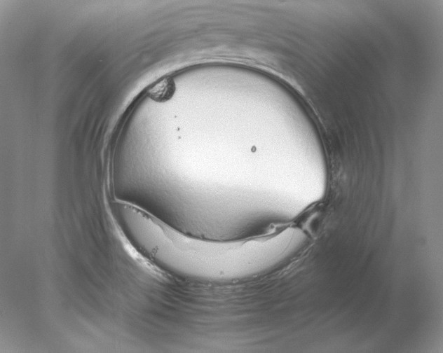 X0000077991515200611251358