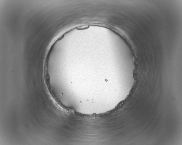 X0000077991520200611251358