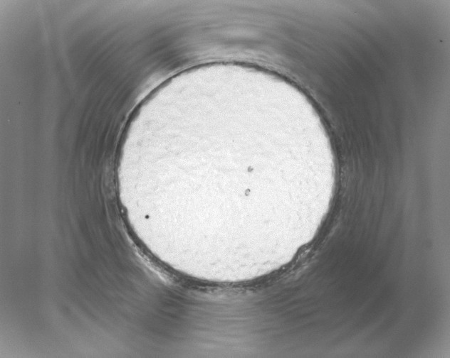 X0000077991521200611251358