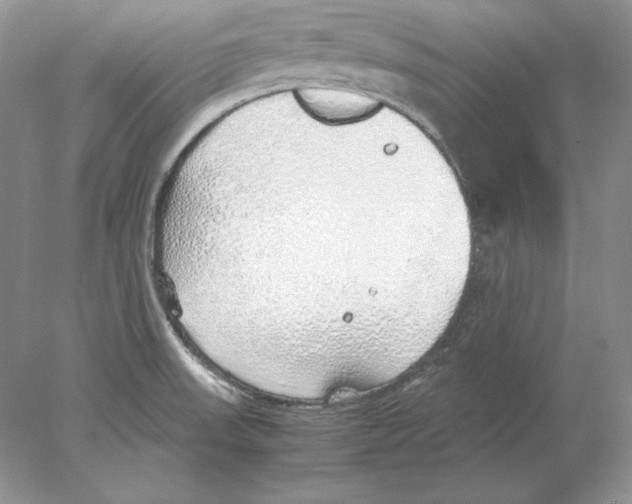 X0000077991523200611251358