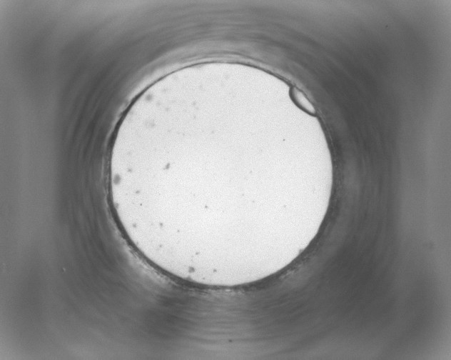 X0000077991526200611251358