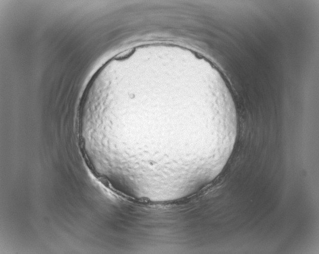 X0000077991527200611251358