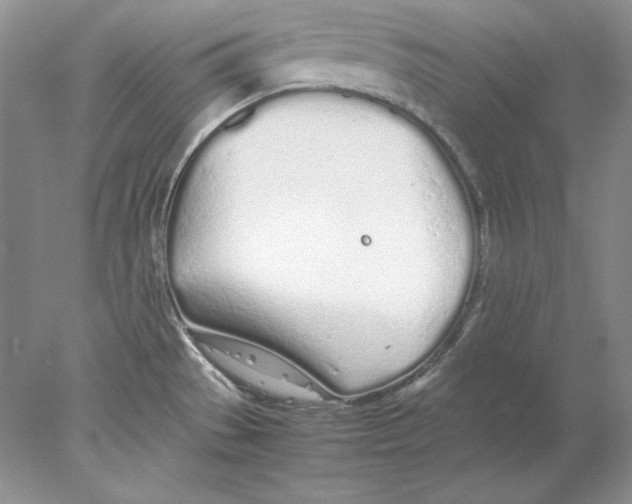 X0000077991529200611251358