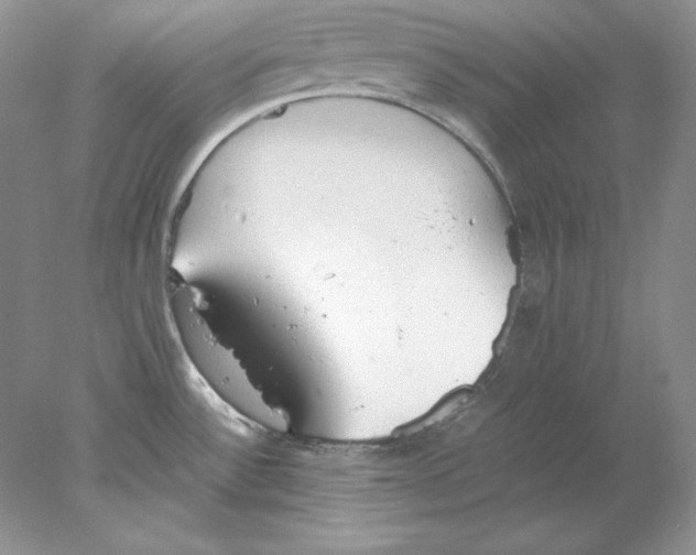 X0000077991532200611251358