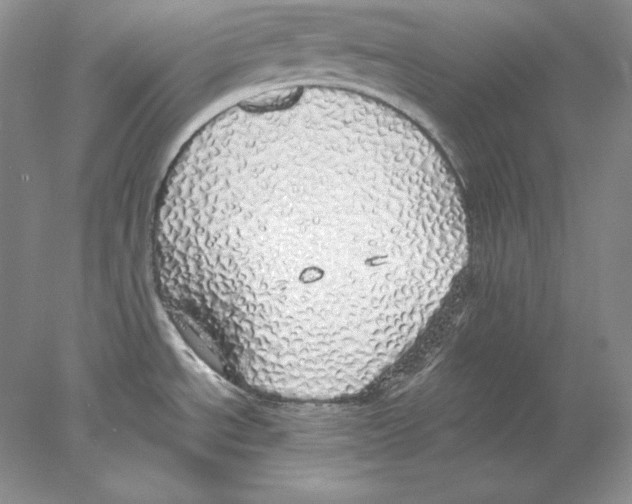 X0000077991534200611251358