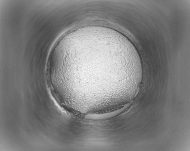 X0000077991536200611251358