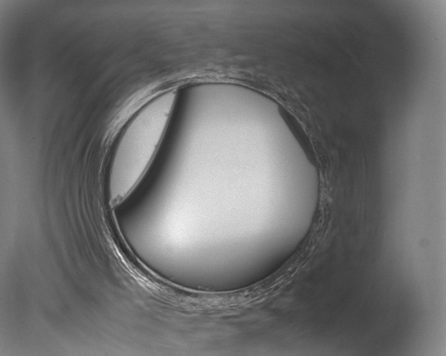 X0000078000005200610271025