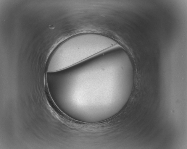 X0000078000011200610271024