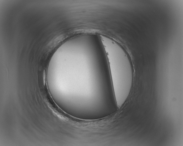 X0000078000013200610271024