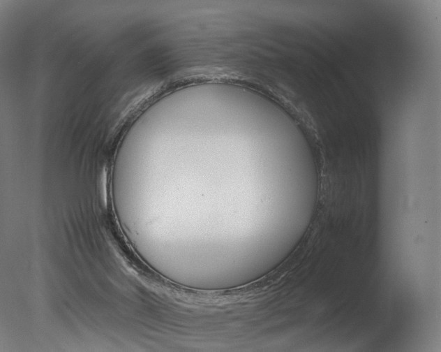 X0000078000014200610271024
