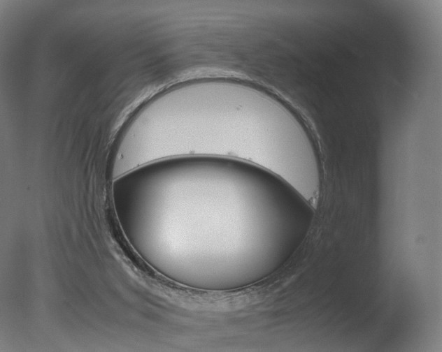 X0000078000015200610271024