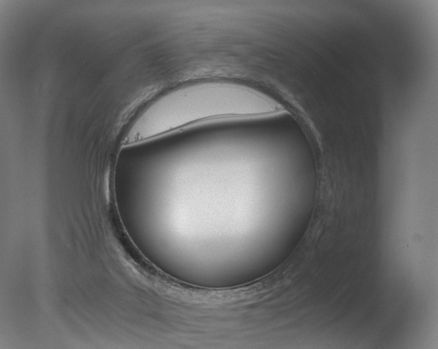 X0000078000019200610271024