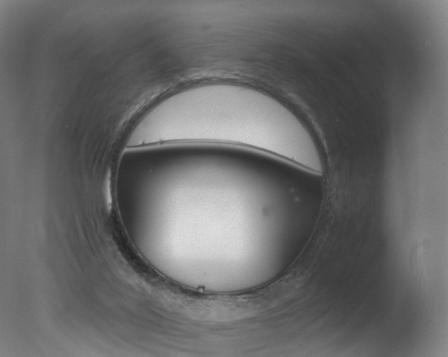 X0000078000020200610271024