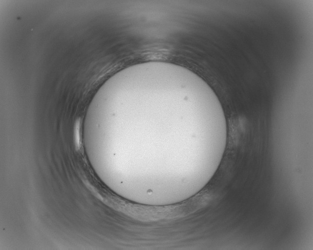 X0000078000028200610271024
