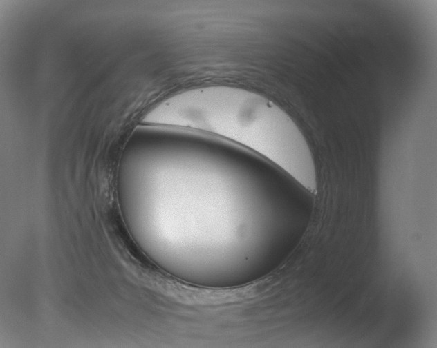 X0000078000031200610271024