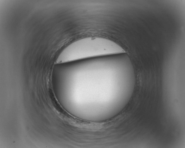 X0000078000032200610271024