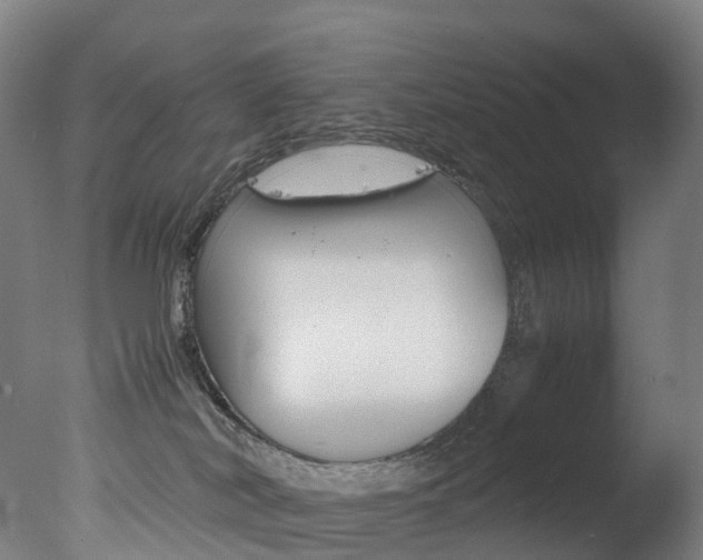 X0000078000038200610271024