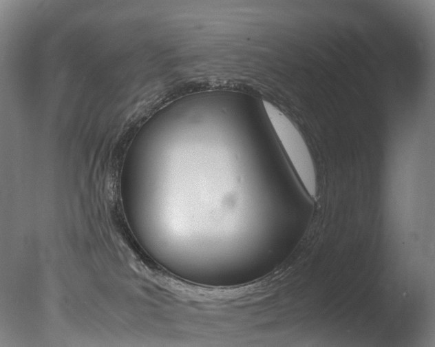 X0000078000039200610271024