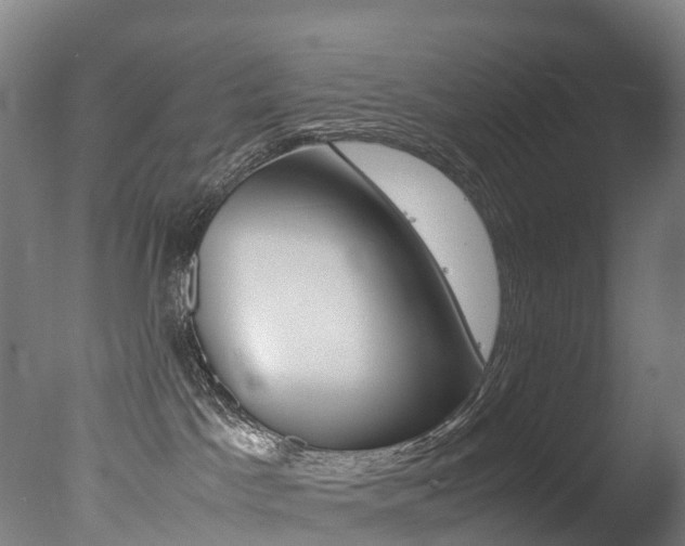 X0000078000045200610271024