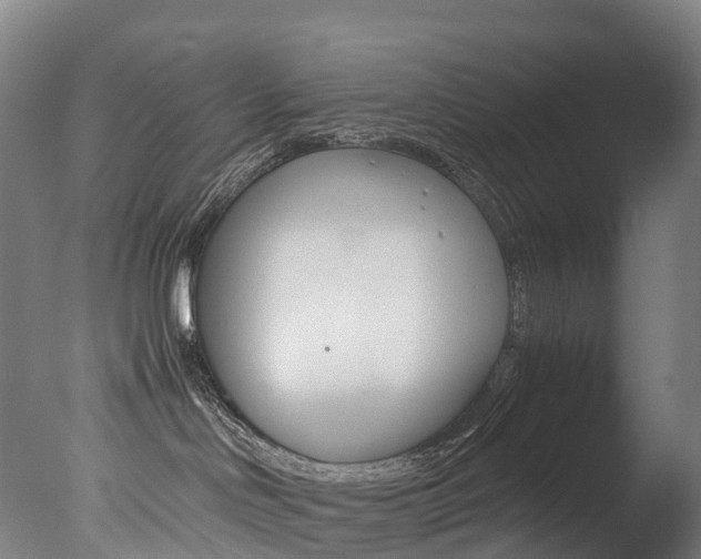 X0000078000046200610271024