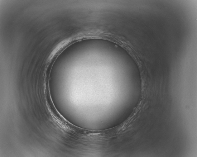 X0000078000054200610271023
