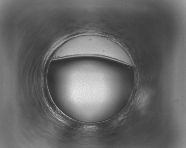 X0000078000055200610271023