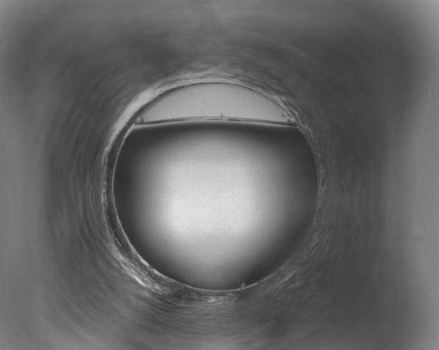 X0000078000056200610271023