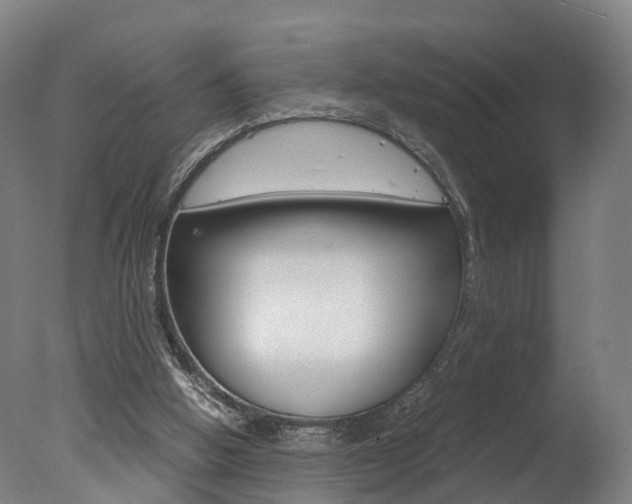 X0000078000058200610271023