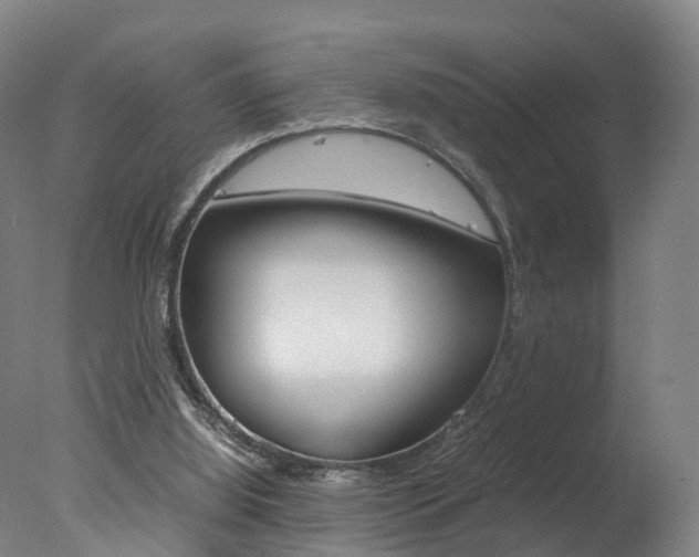 X0000078000060200610271023