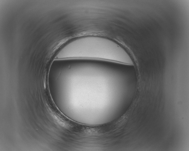 X0000078000062200610271023