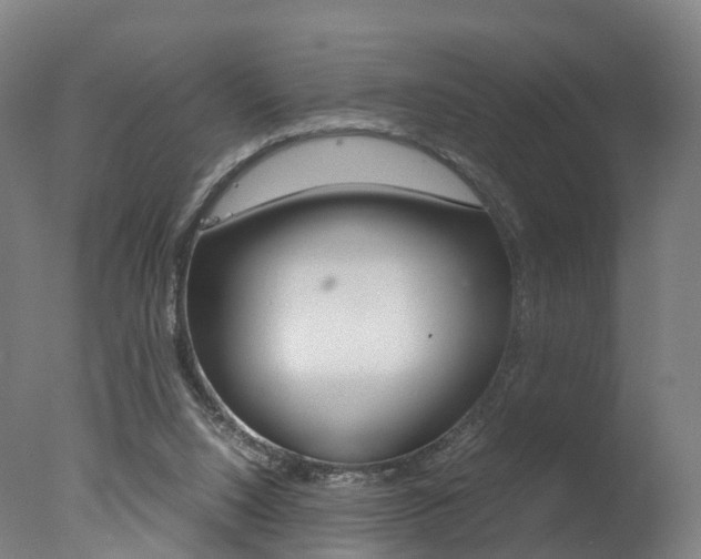 X0000078000064200610271023