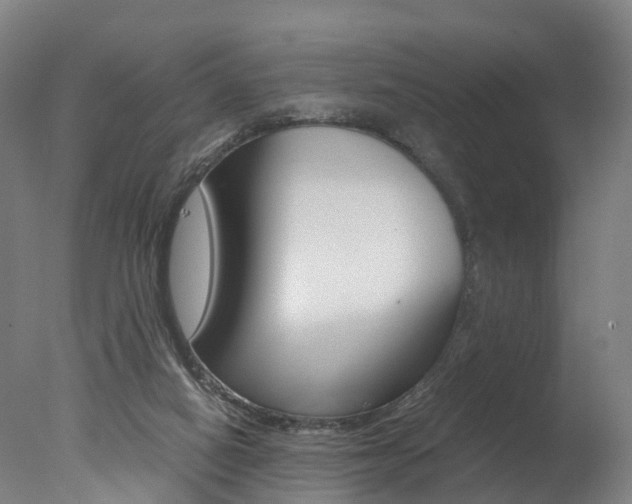 X0000078000066200610271023