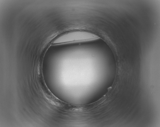 X0000078000068200610271023
