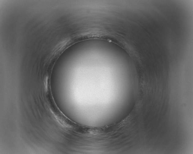 X0000078000070200610271023