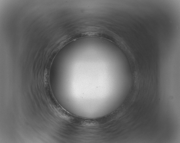X0000078000073200610271023