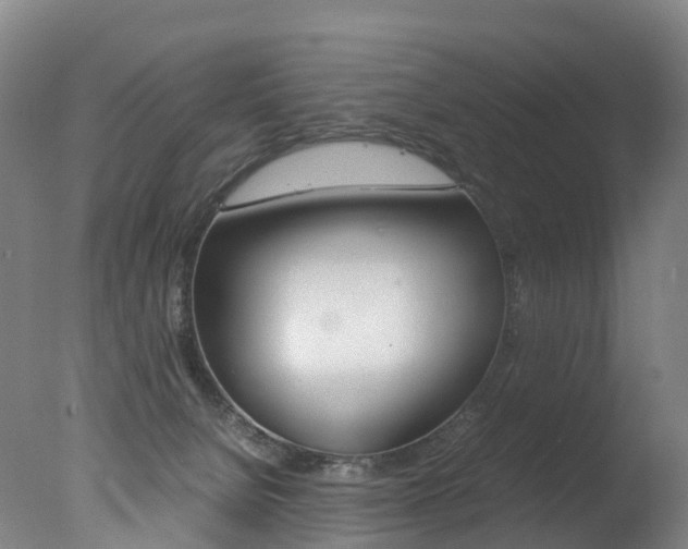 X0000078000080200610271024