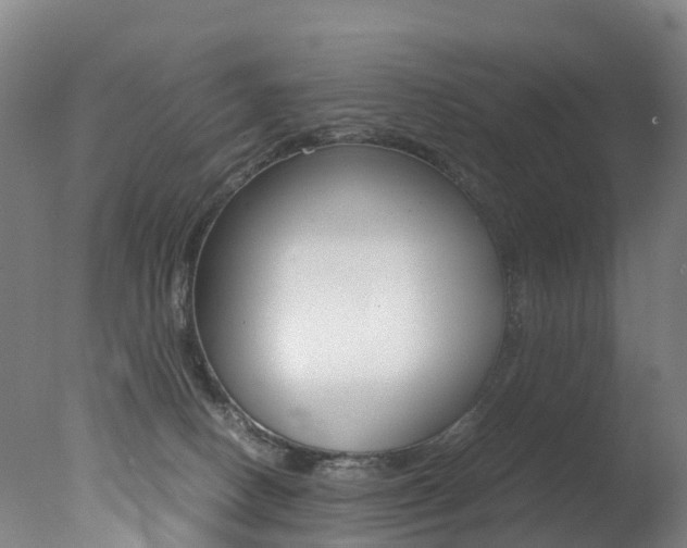X0000078000082200610271024