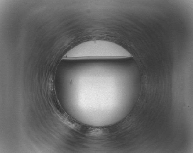 X0000078000083200610271024