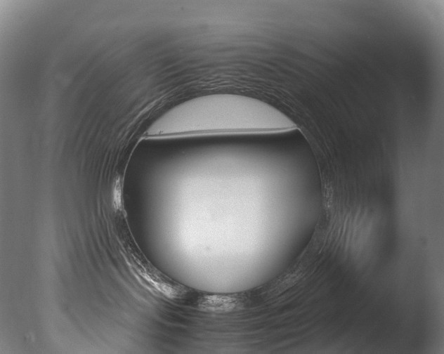 X0000078000095200610271024