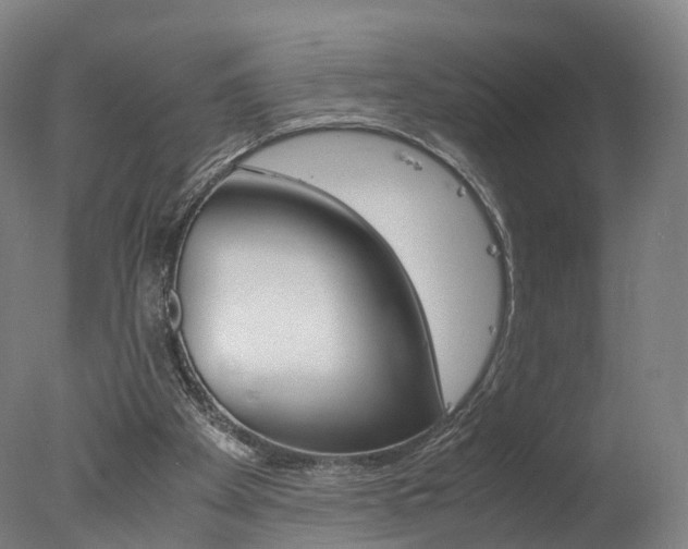 X0000078000105200610271023