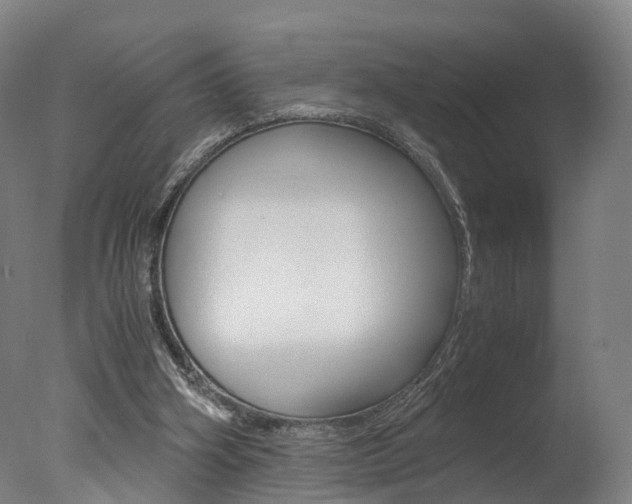 X0000078000106200610271023