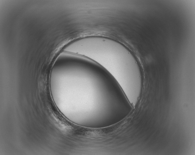 X0000078000107200610271023
