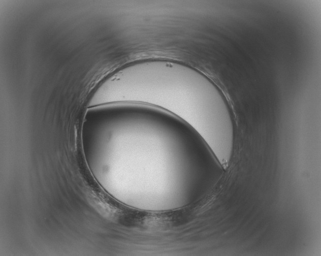 X0000078000109200610271023